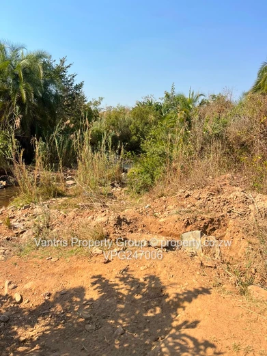 18Ha and 55Ha Mhangura River Ranch plots for sale !! (Sole Mandate)