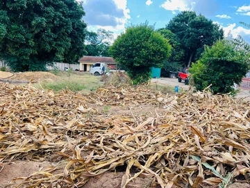 Stands & Residential Land