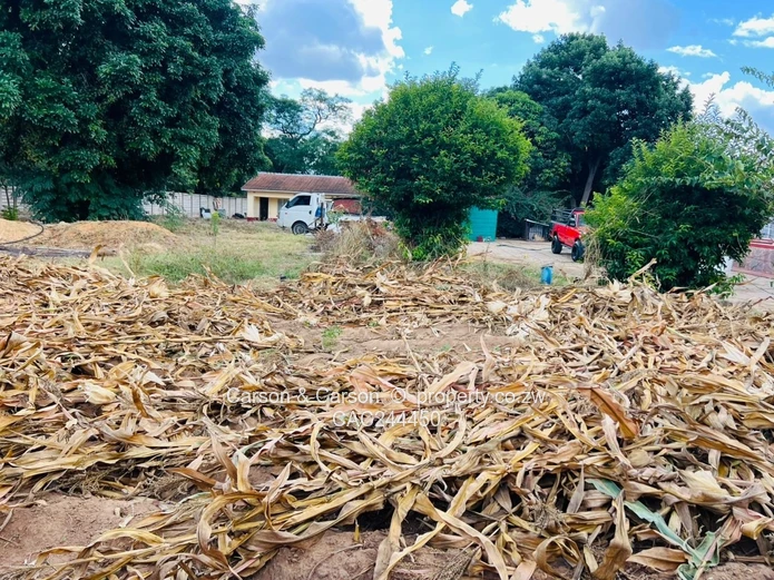 Subdivision stand for sale