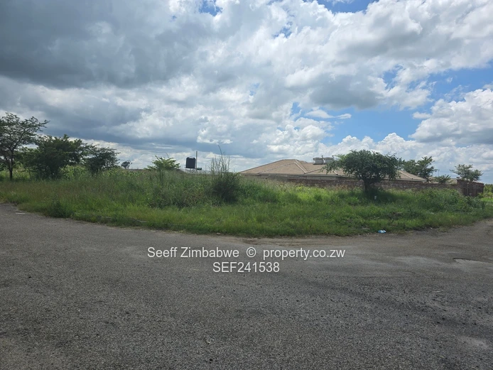 Great Investment Opportunity