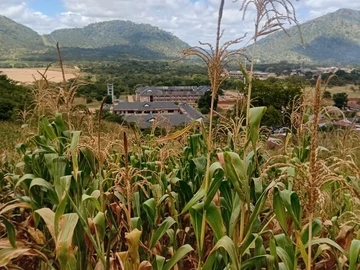 Commercial & Industrial Land