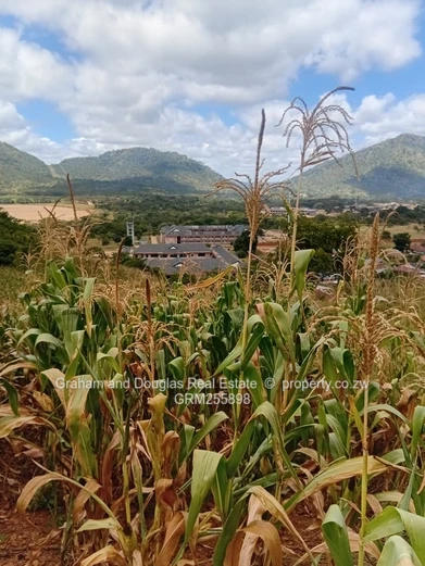 Mazowe commercial land for sale