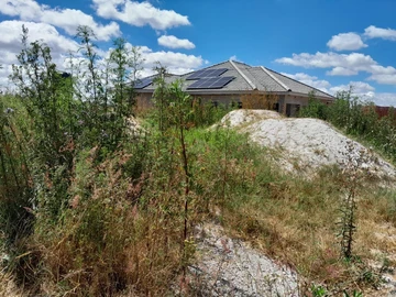 Stands & Residential Land