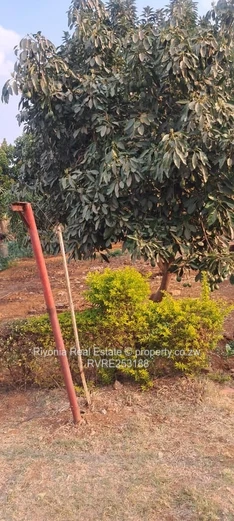 4-Bed Family Home in Nharira — 2440m² with Borehole