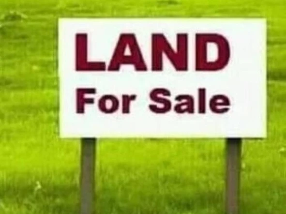 Farm & Agricultural Land