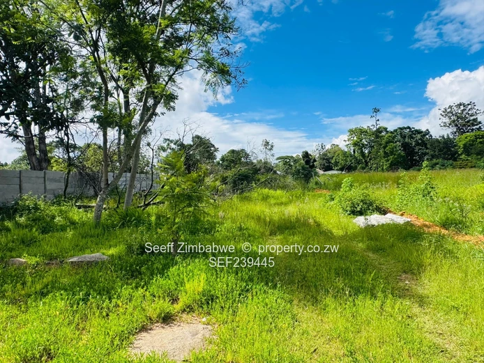 Hatfield Residential Land: Ready for Cluster Development  (Sole Mandate)