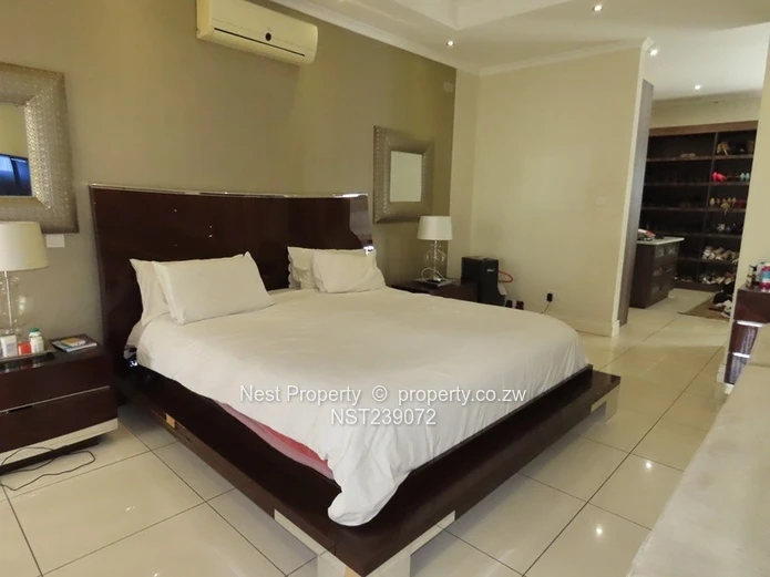 Location - 6 Bedroom House in Alexandra Park!