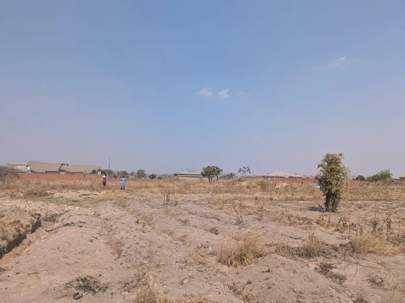 Stands & Residential Land