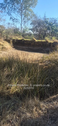 Nyanga stands for sale 15usd per square 
