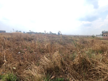 Commercial & Industrial Land