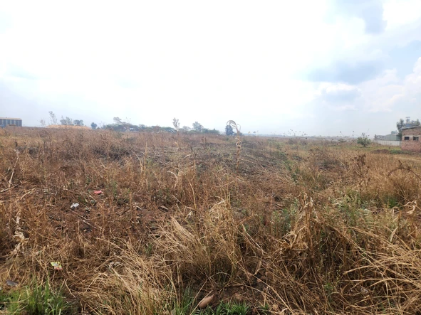 Commercial & Industrial Land