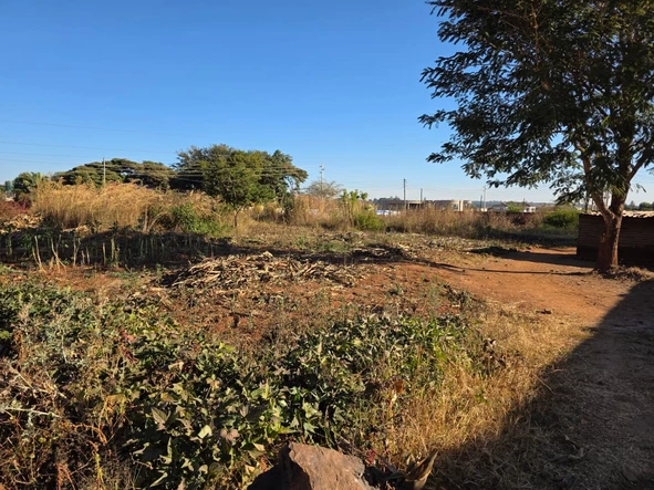 Stands & Residential Land