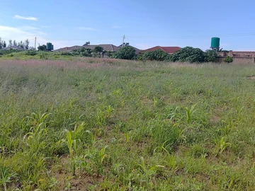 Stands & Residential Land