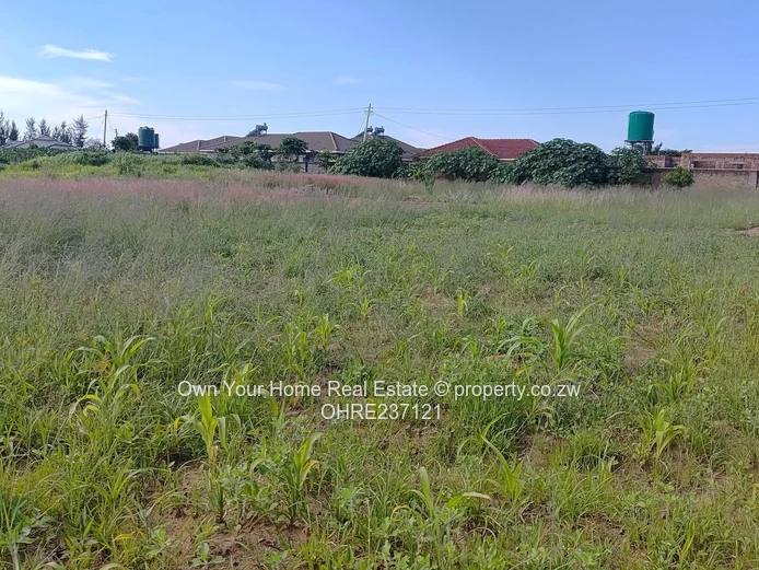 Southlea Park stand for sale 