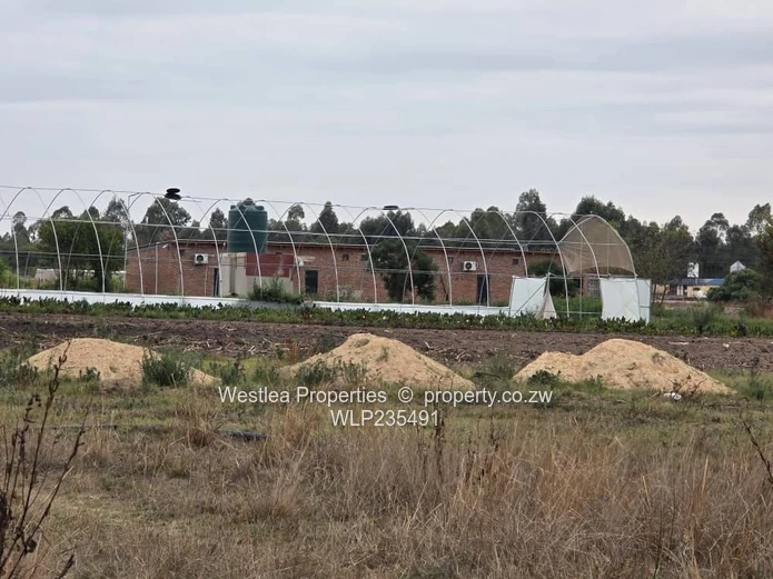 Grab this investment opportunity