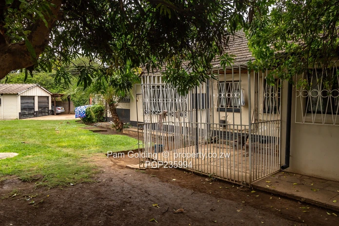 Charming 4-Bedroom Home in Marlborough – 4000sqm