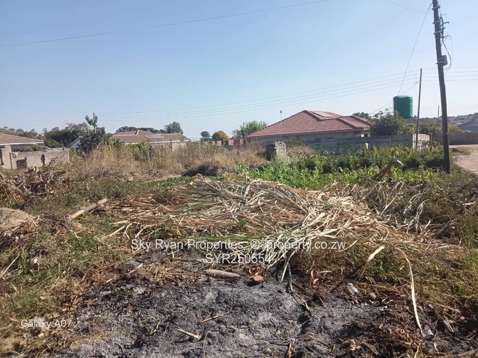 Stand For Sale – Zimre Park