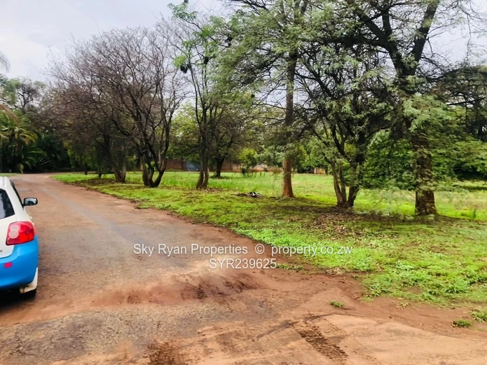 Strathaven Stand For Sale