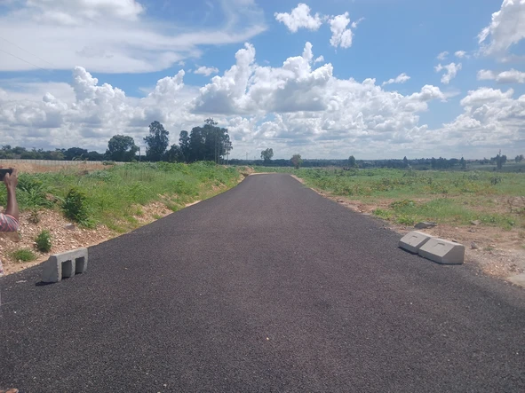 Farm & Agricultural Land