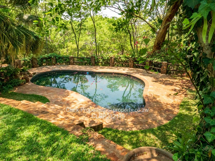 Character-Filled Family Home (Sole Mandate)