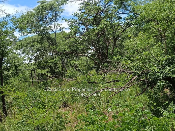 Chegutu, Dorton Plots For Sale
