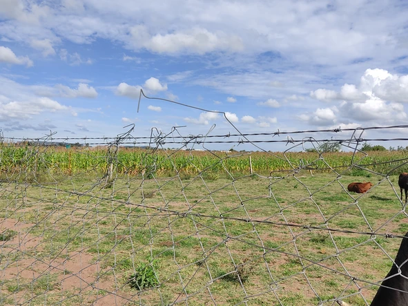 Prime land opportunity in Rainham 