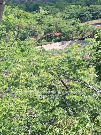  Prime 5,680sqm Stand with Exceptional Views