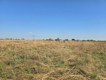 Stands & Residential Land