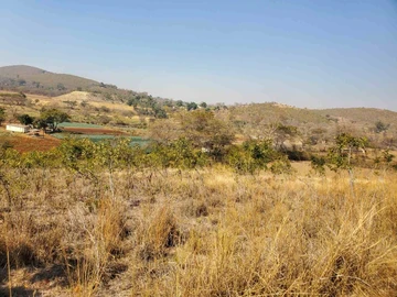 Farm & Agricultural Land