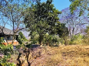 Commercial & Industrial Land