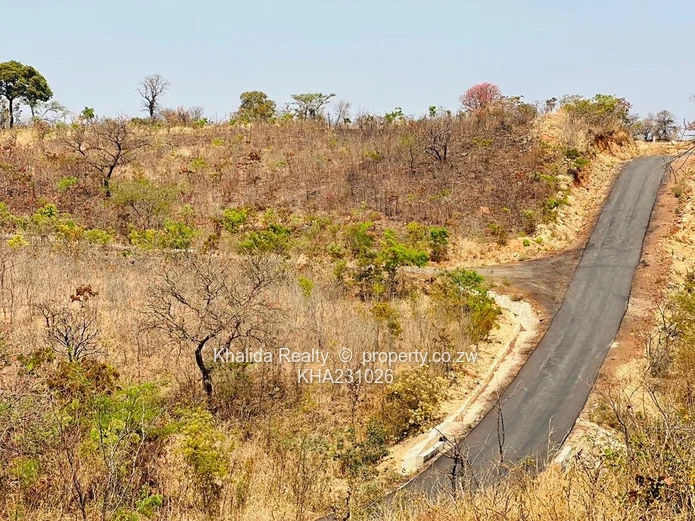 Pomona Stand For Sale  Wild Geese UZ project