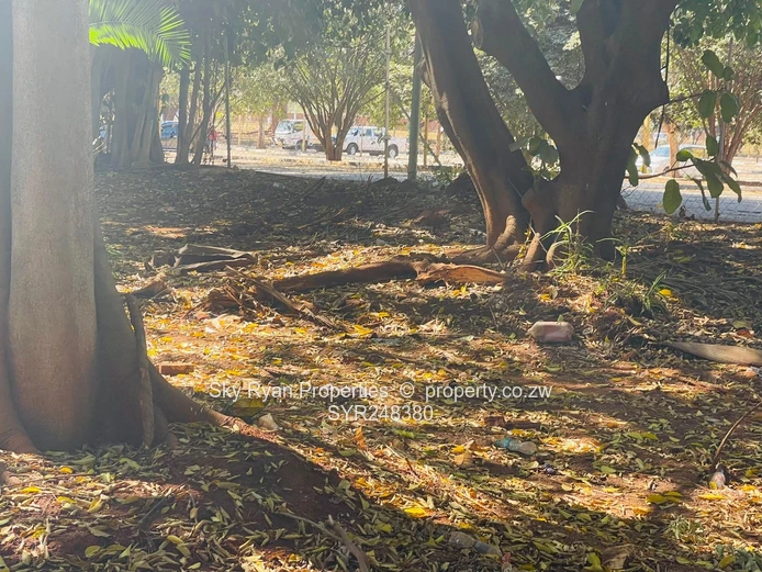 Hicc Cbd Commercial Land For Sale