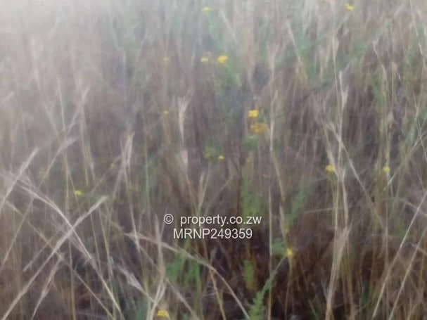 Headlands Eagle Nest Plot for sale (Sole Mandate)