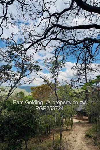 Juliasdale Property for Sale
