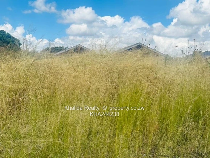 Chadcombe stand for sale 