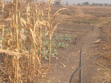 Farm & Agricultural Land