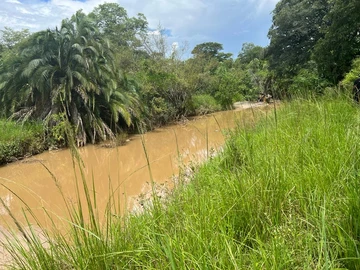 Farm & Agricultural Land