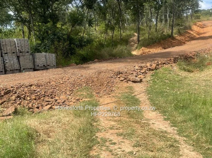 Carrick Creagh stand For Sale