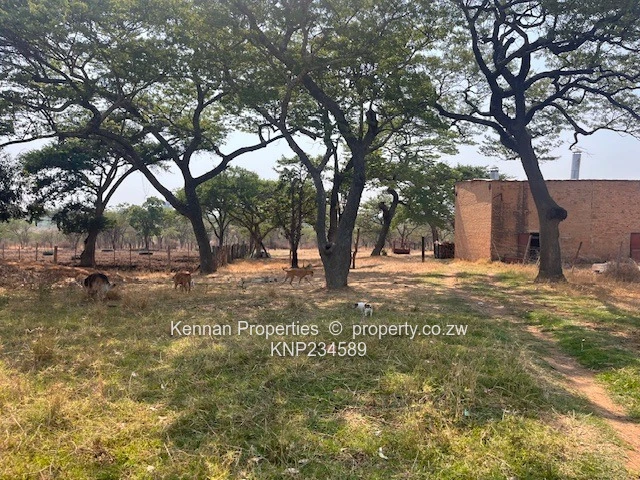 New Farm Listing - Bromley 