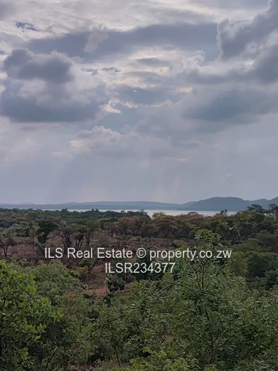 LakeView Stands for Sale