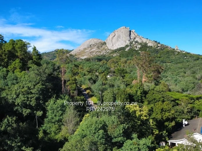 Exquisite Nyanga-MOUNTAIN LIVING FORSALE 120k