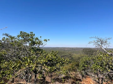 Farm & Agricultural Land
