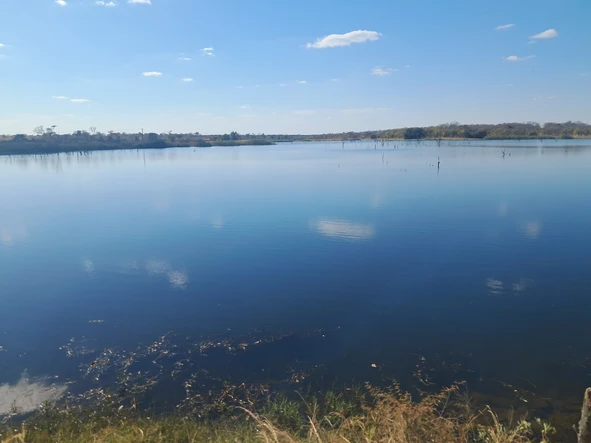 Farm & Agricultural Land