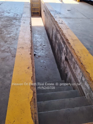 Industrial Giant For Sale