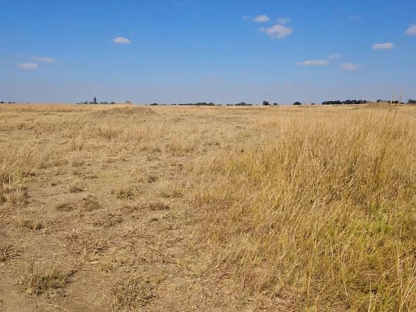 Farm & Agricultural Land