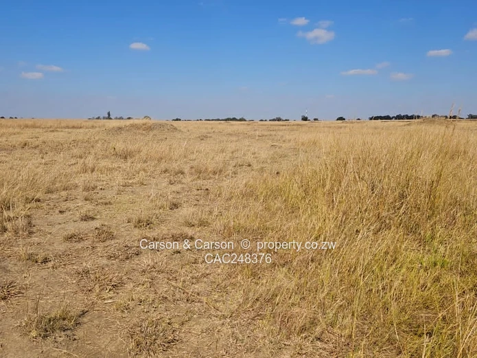 10ha Nyabira Arable Farm — Golden Grassland with Road Access