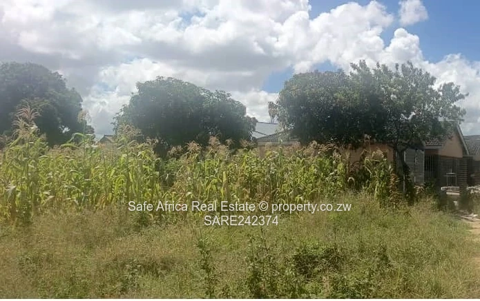 Stands for Sale in Timire Park, Ruwa