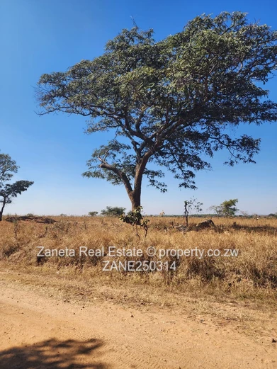 20ha Agro-plot , Hurungwe 