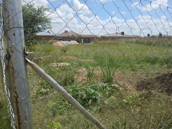 Stands & Residential Land