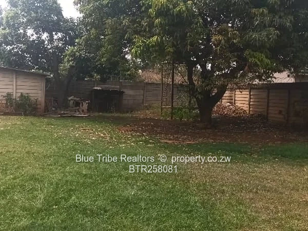 Haig Park Property For Sale 